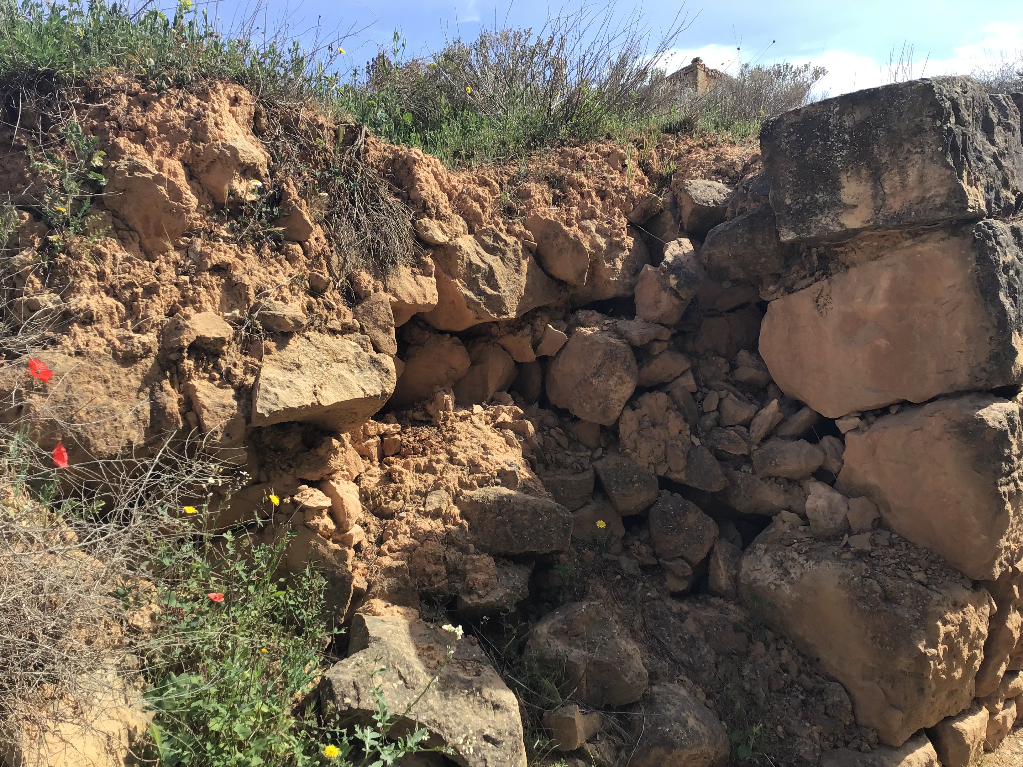 Interior mur pedra seca derruït parcialment_Pedra seca a L'Oest