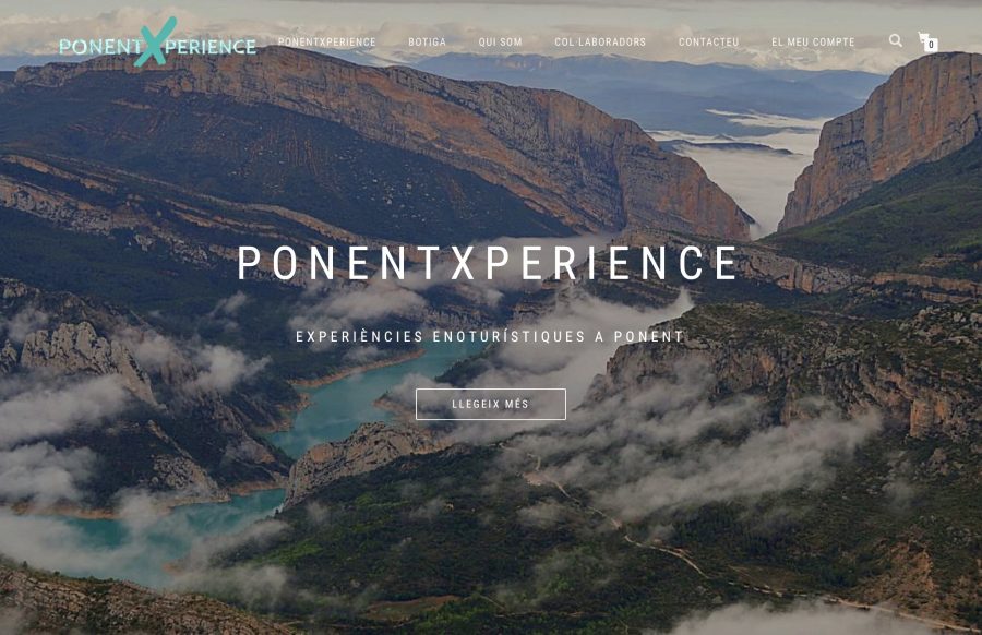 Inici web PonentXperience